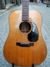 Martin D-18_2