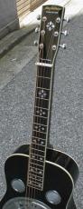 Beard MA-6 Mike Auldridge Model_2