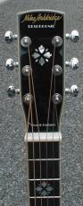 Beard MA-6 Mike Auldridge Model_3