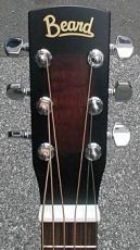 Beard Resophonic Guitar_2