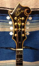 Gibson F-5 1974_2