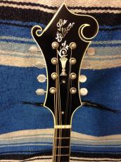 Gibson F-5G _2