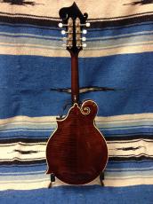 Gibson F-5G _3