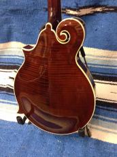 Gibson F-5G _4