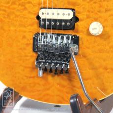 MUSIC MAN Eddie Van Halen Signature (Gold Translucent)_11