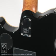 MUSIC MAN Eddie Van Halen Signature (Gold Translucent)_13