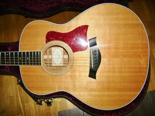 Taylor 418e ES2 　豪快サウンド