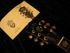 Guild D-100　1990 _2