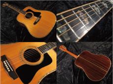 Guild D-100　1990 _4