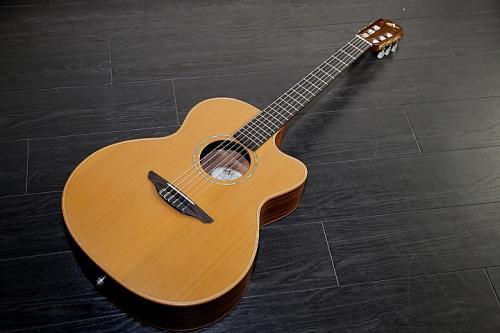 Avalon guitars A25J　エレガット　定価525,000円　Legacy Series　Indian Rosewood 25 Jazz カッタウエイ