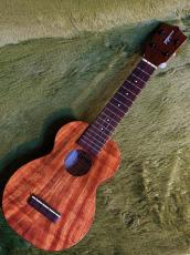 Kamaka HF-1 Soprano #250813 【ソプラノ・スタンダード】【48回金利0%対象】【送料込】_2