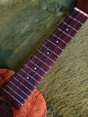 Kamaka HF-1 Soprano #250813 【ソプラノ・スタンダード】【48回金利0%対象】【送料込】_7