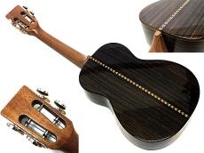 David Gomes Tenor Full Custom_2
