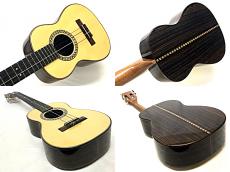 David Gomes Tenor Full Custom_3