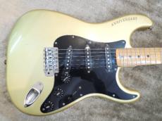 Fender 25th Anniversary Stratocaster 