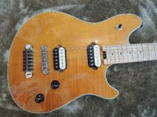 EVH Wolf gang  HT 