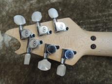 EVH Wolf gang  HT _3