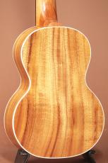 maruyama shoten Hawaiian Koa Concert_3