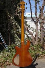 B.C.Rich Eagle Limited Edition_4