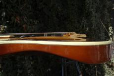 B.C.Rich Eagle Limited Edition_6