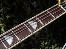 B.C.Rich Eagle Limited Edition_7