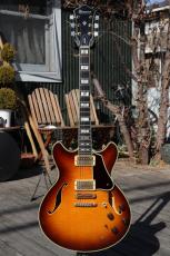 Ibanez AS-200_5