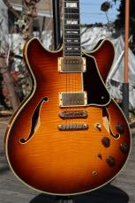 Ibanez AS-200_6
