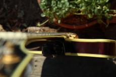 Ibanez AS-200_9