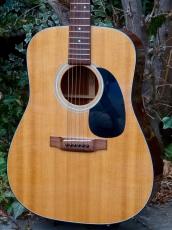 Martin D-18_3