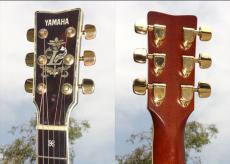 YAMAHA 1981 L-55 custom_4