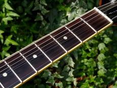 Epiphone Elitist DOT/NA_7