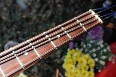 Gibson EB-3_6