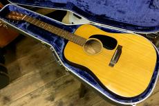 Martin D-18_2