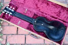 Rickenbacker Model B6_2