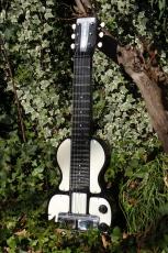 Rickenbacker Model B6_5