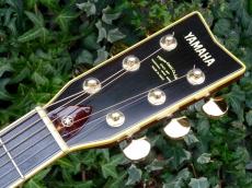 YAMAHA ’77 L-31A_5