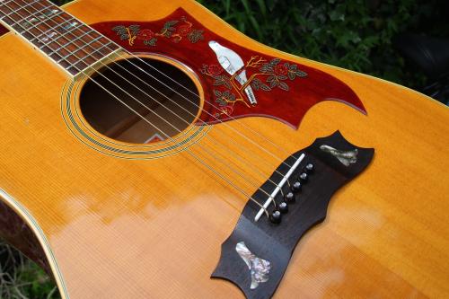 Burny BD-85