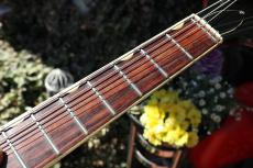 Gretsch 6119 Tennessean_7