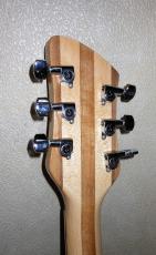 Rickenbacker 360_4