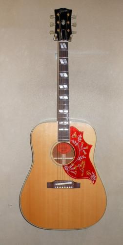 Gibson C/S  ’60sHummnigbird