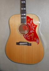 Gibson C/S  ’60sHummnigbird_2
