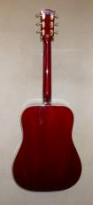 Gibson C/S  ’60sHummnigbird_5
