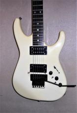 ESP EXCLES_2