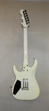 ESP EXCLES_6