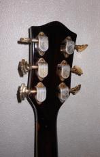 Gretsch COUNTRY GENTLEMAN_4
