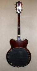 Gretsch COUNTRY GENTLEMAN_5