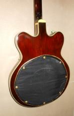 Gretsch COUNTRY GENTLEMAN_6