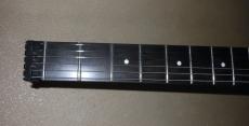 Steinberger Alan Holdsworth model_7