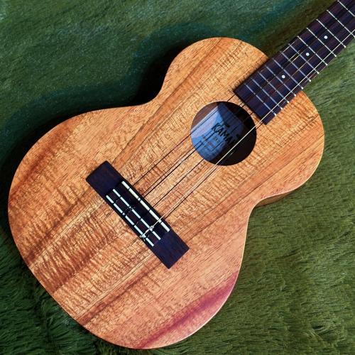 Kamaka HF-36 Tenor 6st #250778 【テナー/6弦】【48回金利0%対象】【送料込】