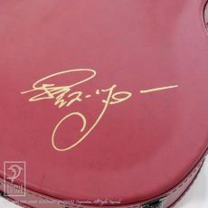 Naga Guitars Kotaro Oshio Signature "Wings" Series - Cutaway_15